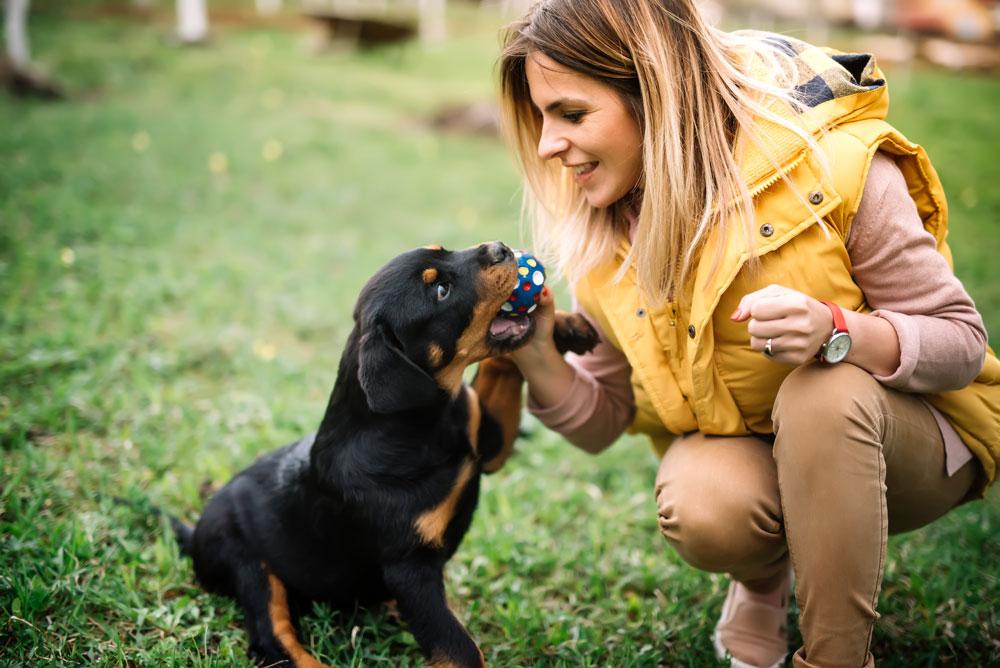 Products, toys and advice to help you get your new addition settled in